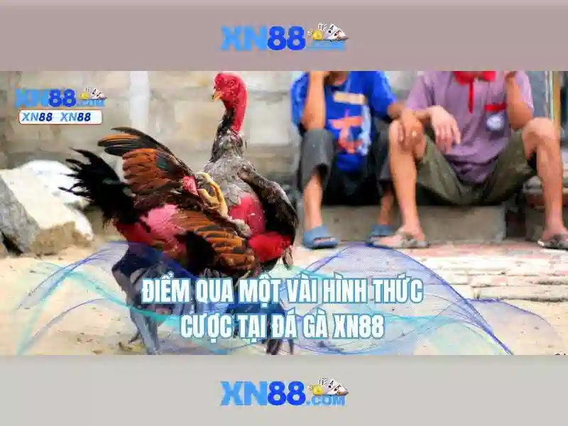xn88: Tổng quan, tính năng và an toàn