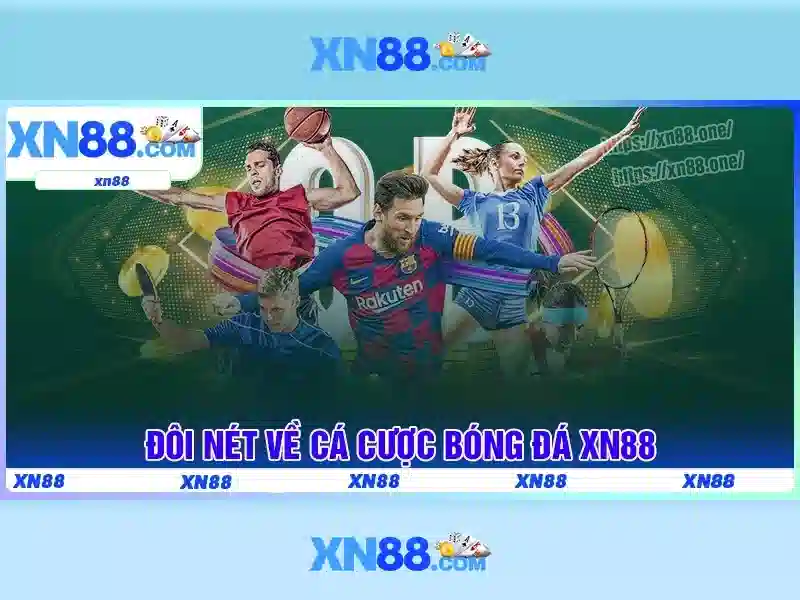 Cổng kết nối và khả năng truy cập