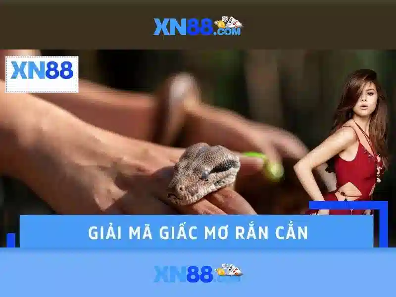 Giới thiệu về xn88