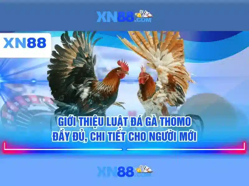 Phương thức thanh toán và bảo mật