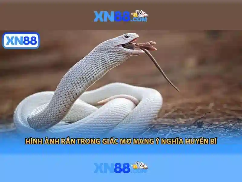 Quy định và an toàn cho người chơi
