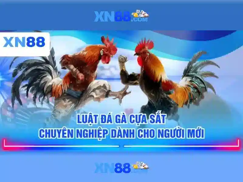 Xn88: Nền tảng giải trí trực tuyến và hành trình phát triển