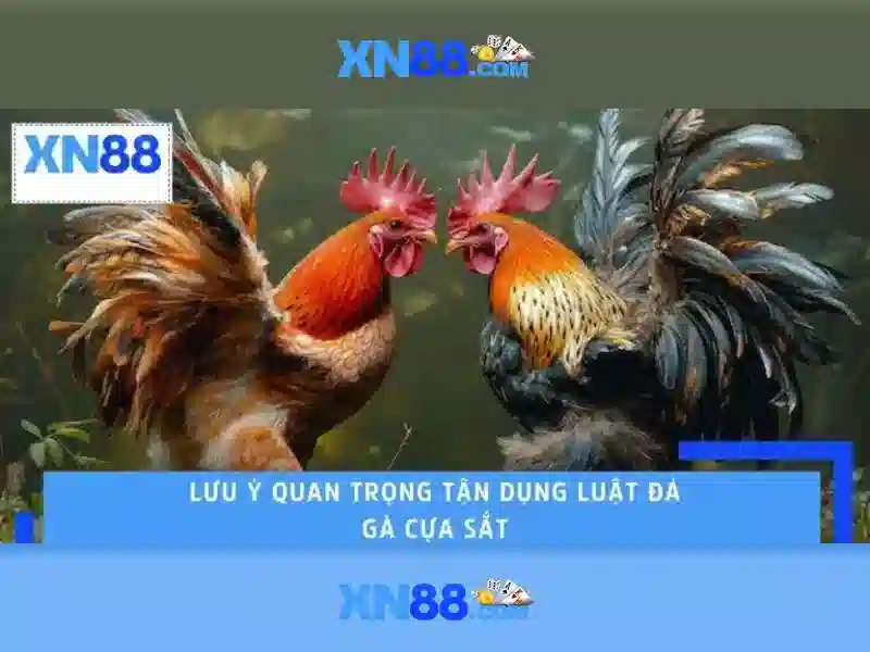 XN88: Nền tảng cá cược và giải trí trực tuyến đáng tin cậy
