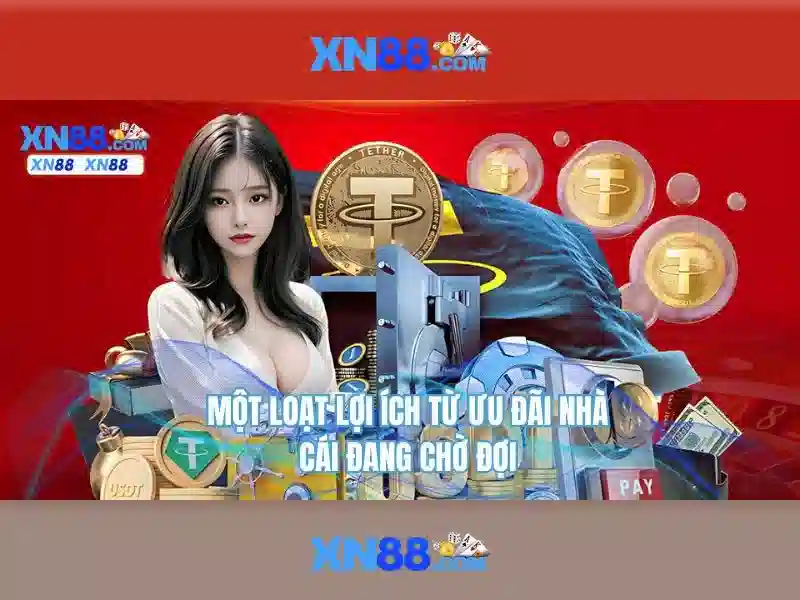 Lý do xn88 nổi bật