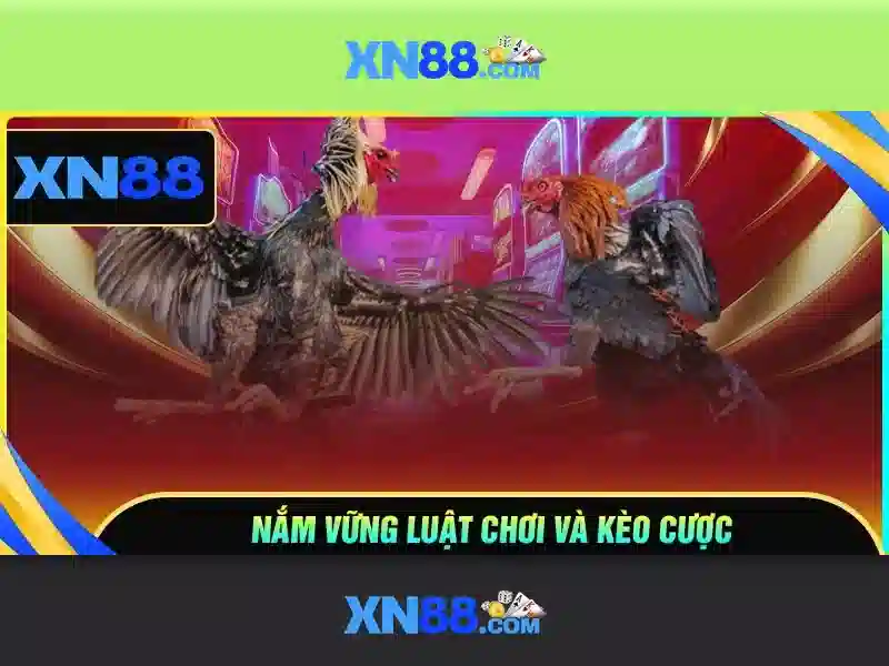 xn88: Nền tảng giải trí trực tuyến và cái nhìn tổng quan