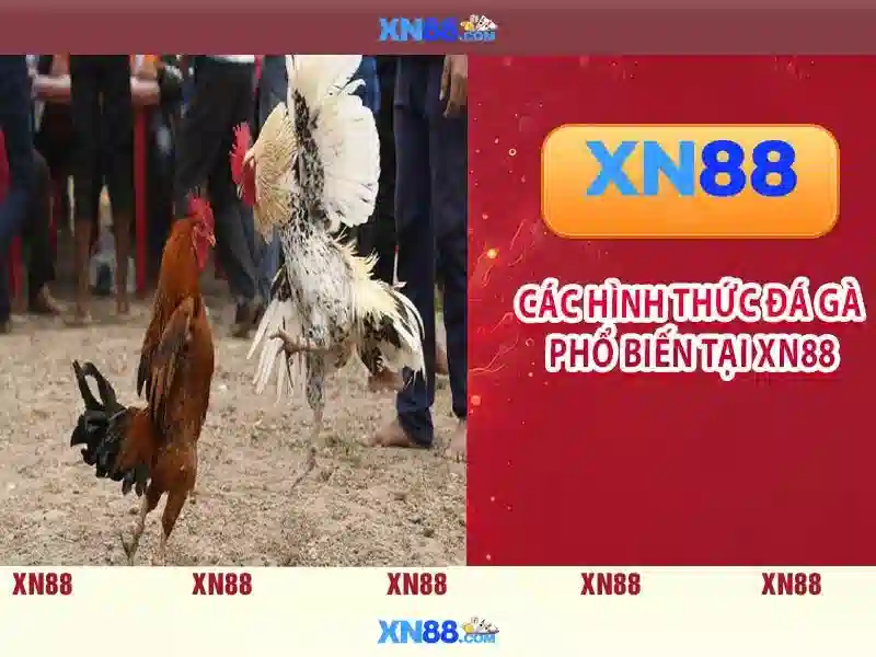 xn88: Nền tảng trò chơi trực tuyến đáng tin cậy tại Việt Nam