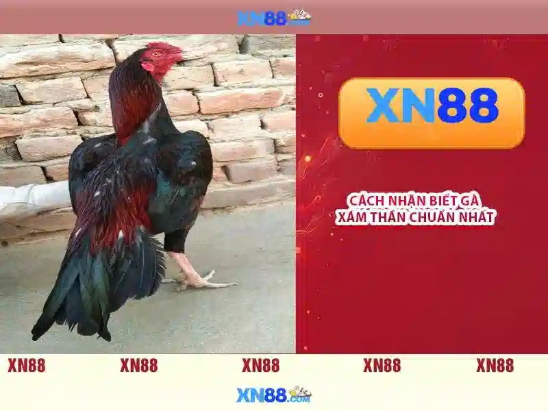 Trải nghiệm người dùng