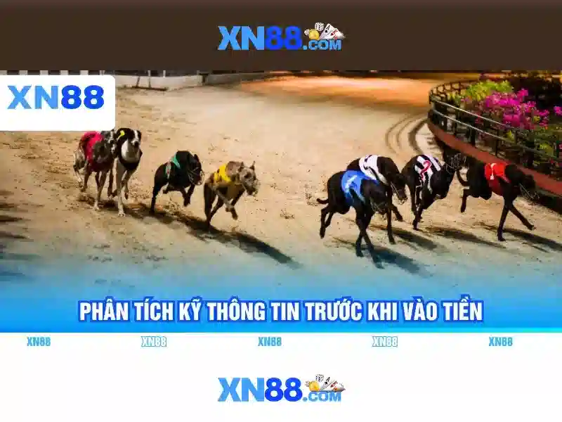 Lịch sử và sự phát triển của xn88