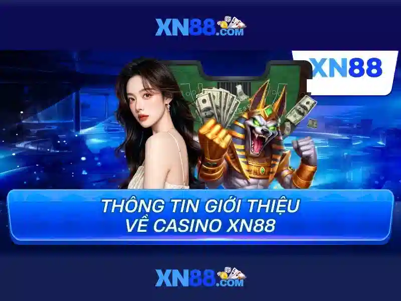 Các dịch vụ nổi bật