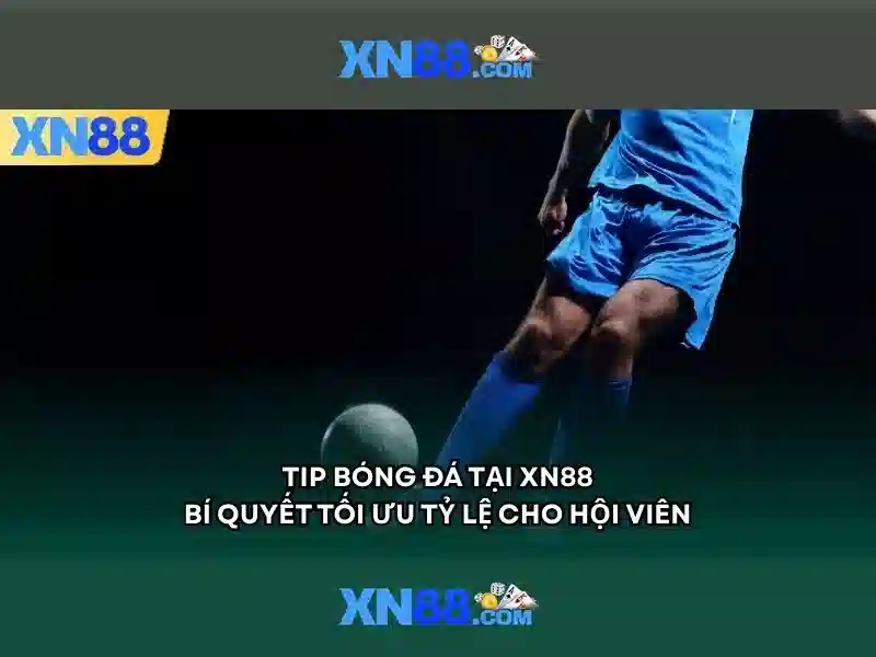 Các sản phẩm và dịch vụ