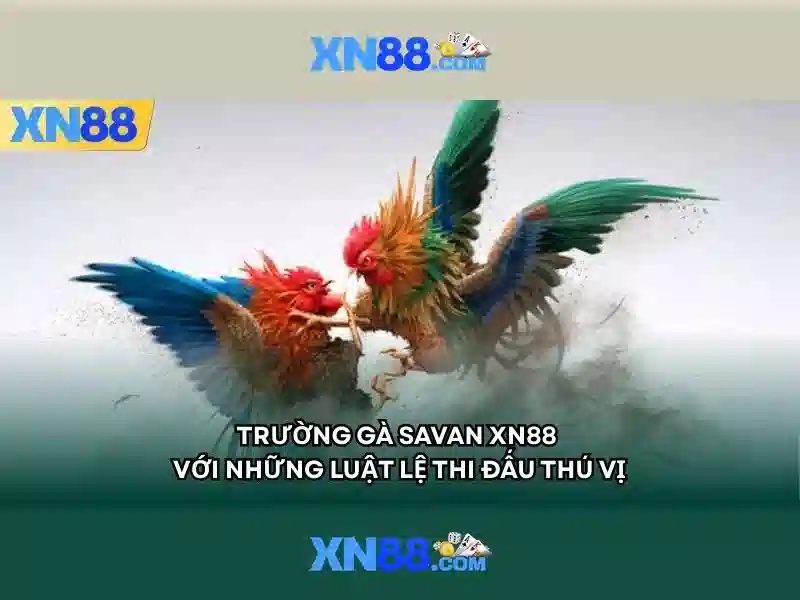 xn88 và hành trình khám phá cộng đồng