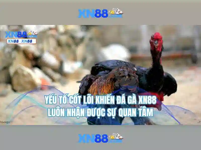 Banner-dang-ky-xn88