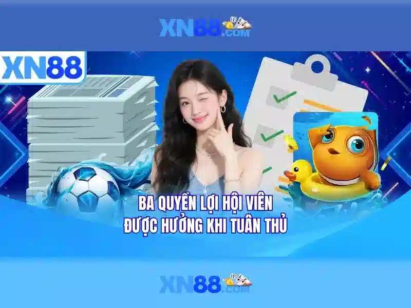 Giới thiệu về xn88