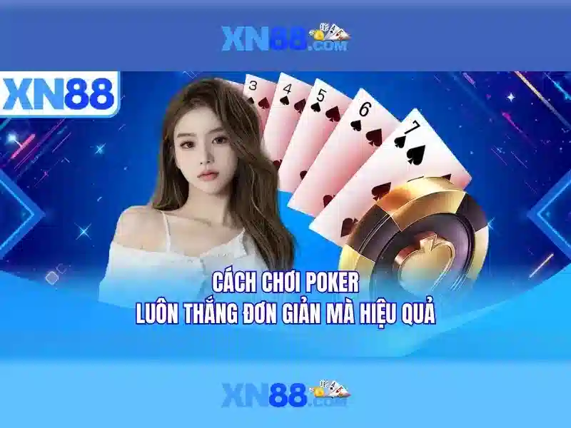 Lưu ý an toàn và trách nhiệm