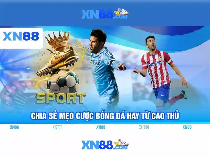 xn88: Tổng quan về nền tảng và các dịch vụ