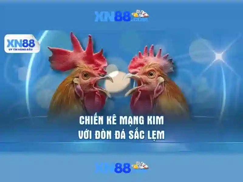 Intro xn88