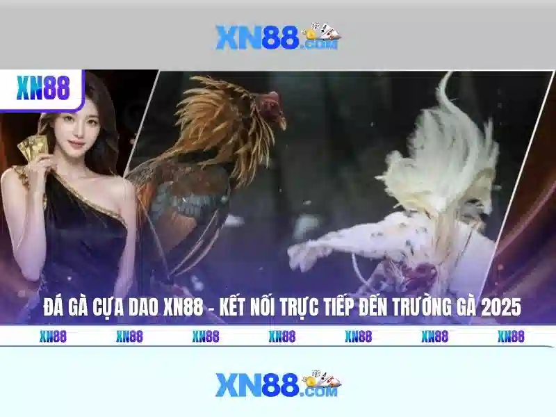 mô tả bằng tiếng Việt