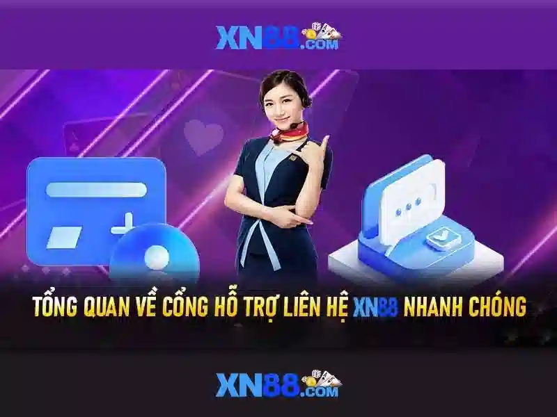 Hỗ trợ và tương tác người dùng