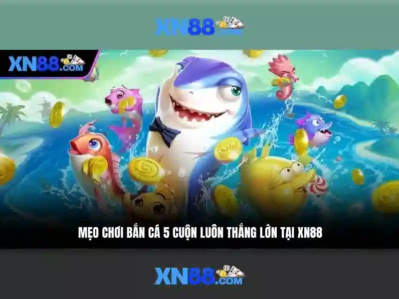 Giới thiệu về XN88