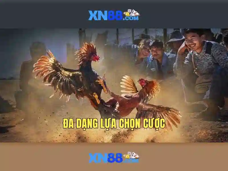 Xn88: Nền tảng trò chơi trực tuyến đáng tin cậy và những tính năng nổi bật