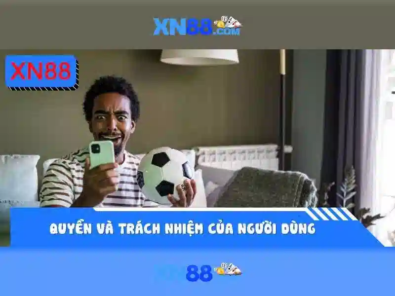 mô tả bằng tiếng Việt