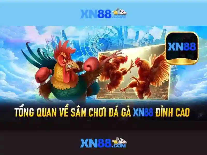 mô tả bằng tiếng Việt