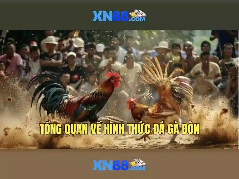 xn88: Tổng quan về nền tảng và các dịch vụ