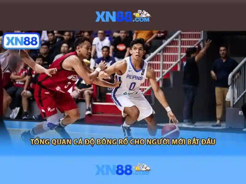 XN88: Đánh giá tổng thể và thông tin hữu ích