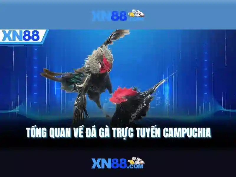 xn88 là gì và cách hoạt động của nó