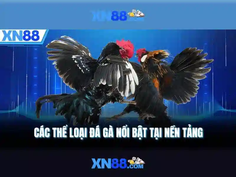 Các trò chơi nổi bật