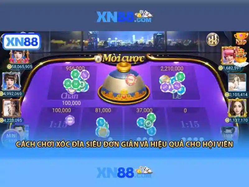 Lịch sử và tầm nhìn