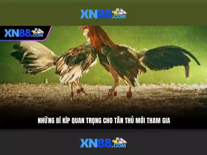 Kết luận