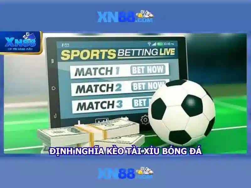 Trải nghiệm người dùng và hỗ trợ