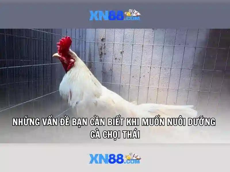 xn88 - Tổng quan và các khía cạnh quan trọng