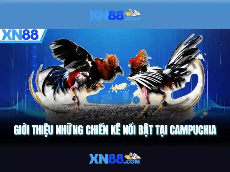 Thong-diep-ho-tro