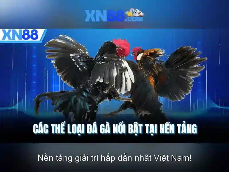 Giới thiệu về xn88