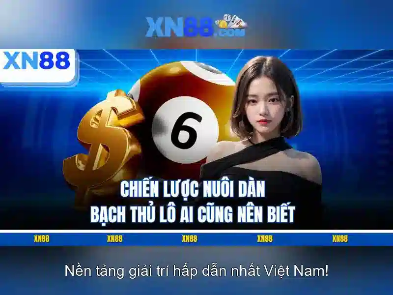 Khuyến mãi và đăng ký