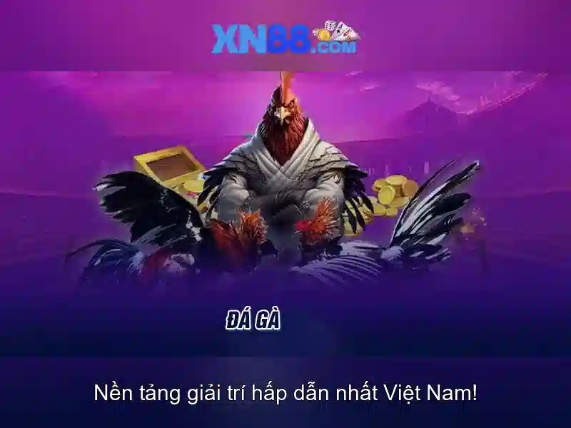'Đa dạng trò chơi và dịch vụ'