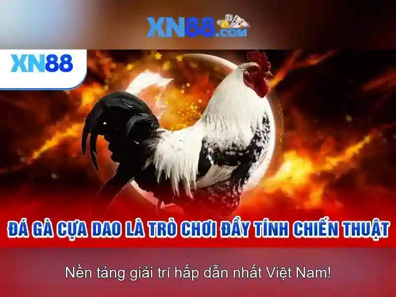xn88: Nền tảng đánh bạc trực tuyến và câu chuyện đằng sau