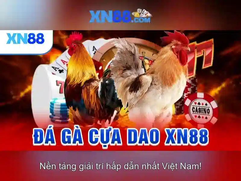 Hướng dẫn tham gia và lưu ý