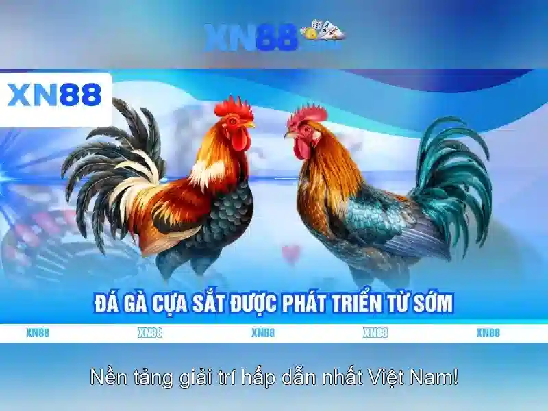 XN88: Nền tảng trò chơi trực tuyến và trải nghiệm giải trí