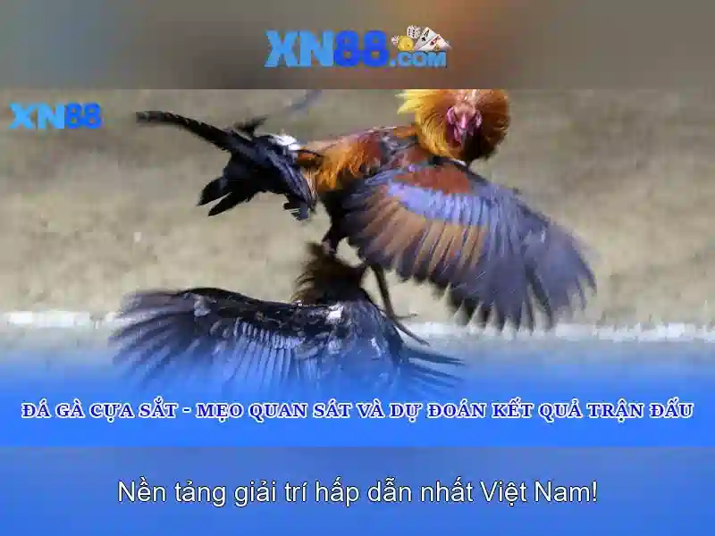 xn88: Đánh giá và hướng dẫn tham gia