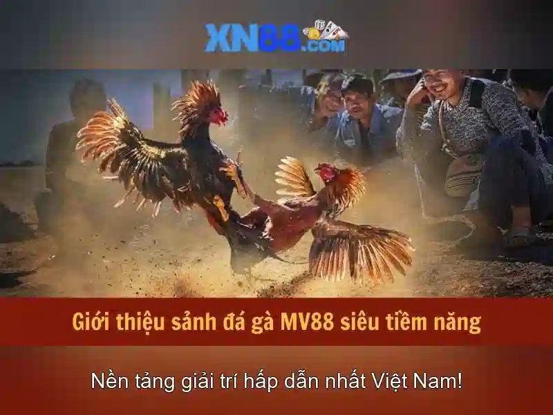 An toàn và bảo mật khi sử dụng xn88