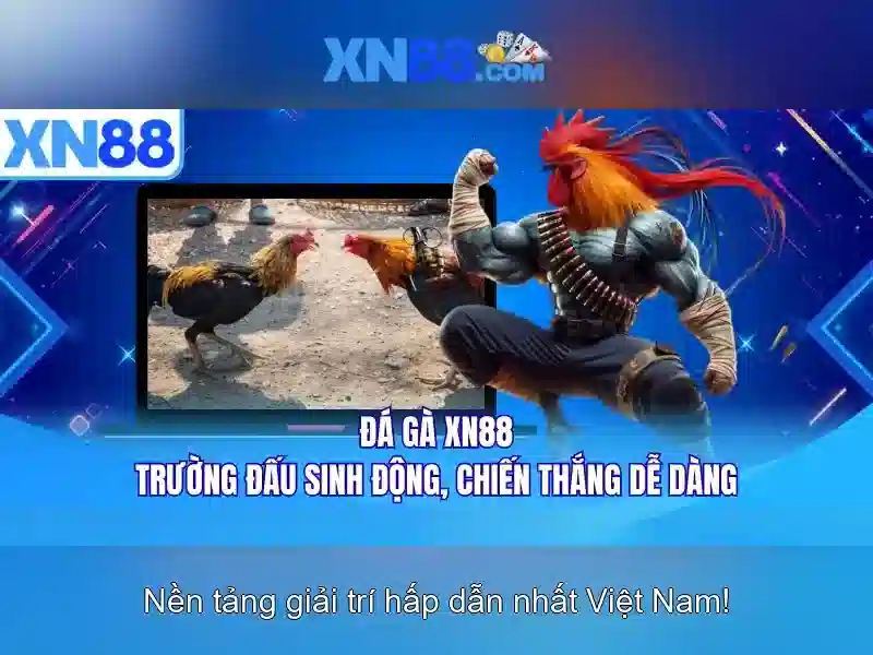 xn88: Giới thiệu về nền tảng giải trí trực tuyến