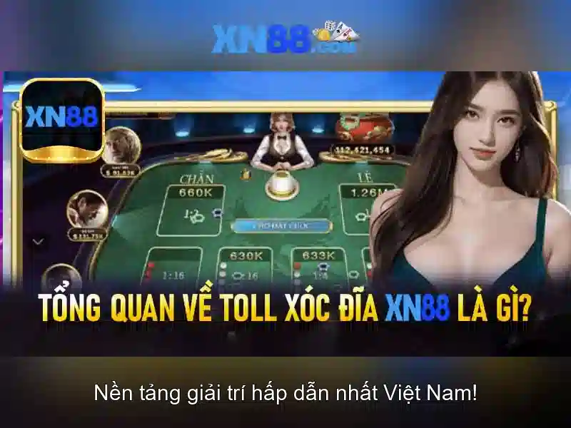 Khái quát về xn88 và lĩnh vực hoạt động