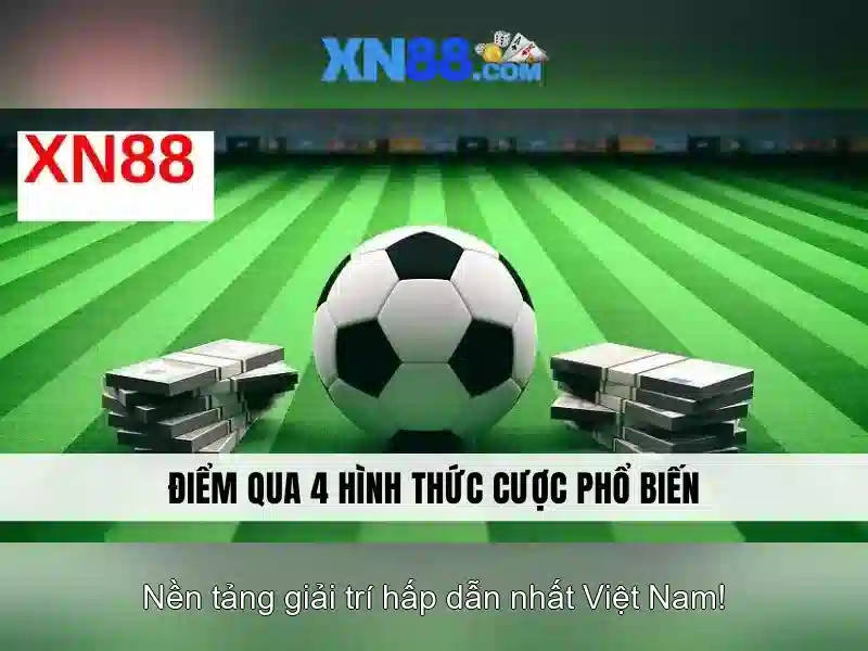 Khuyến mãi và hỗ trợ