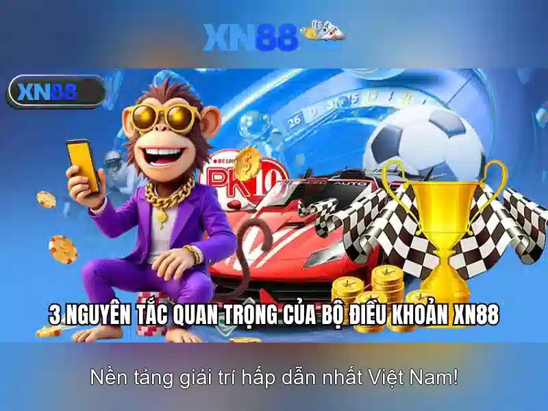 Lịch sử và đặc điểm nổi bật