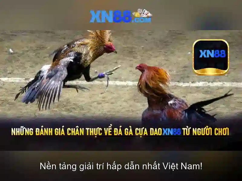 Mô hình hoạt động