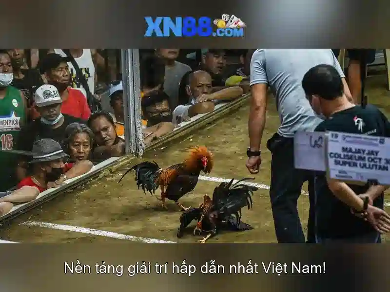 Cột mốc và sự phát triển