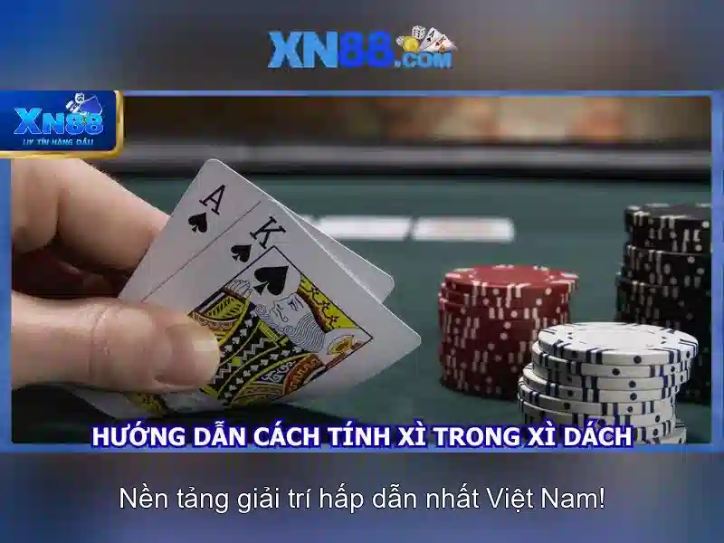 Tổng quan về Xn88